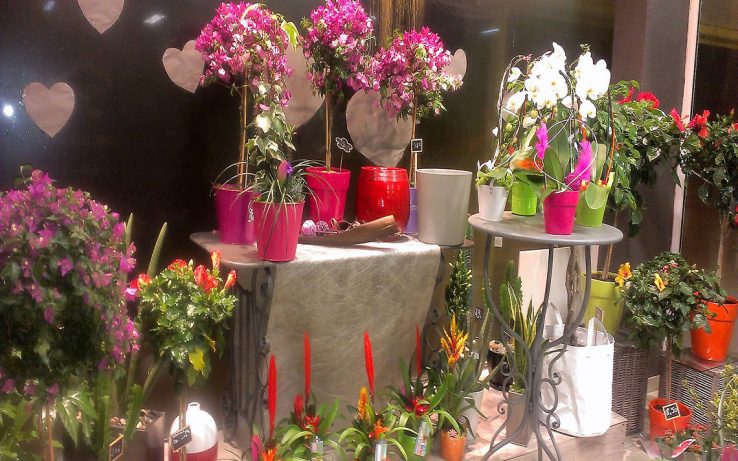 Entretien avec Marylise Augustin fleuriste et propriétaire de la Ligne Florale