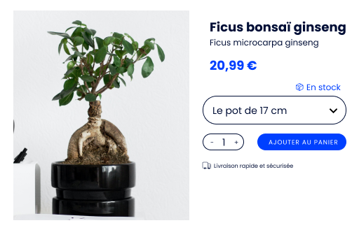 fiche-produit fiche-produit-bonsai-commerce