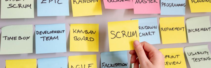 Organisation et planning de déploiement ERP